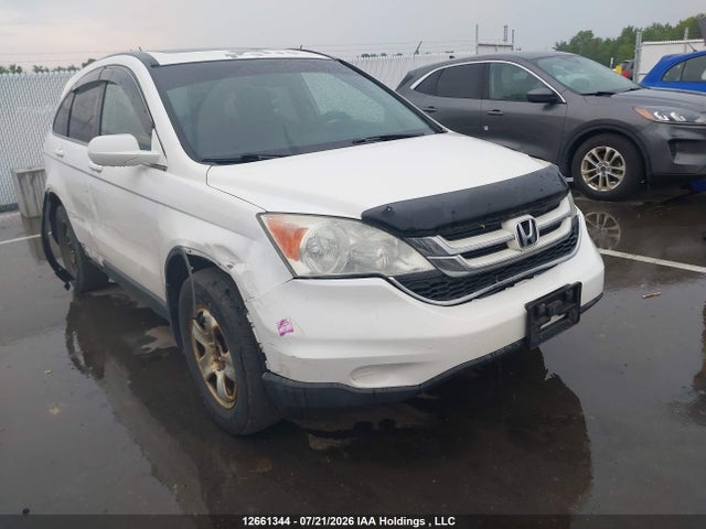 Auction sale of the 2011 Honda Cr-v Ex, vin: 5J6RE4H55BL804399, lot number: 12661344