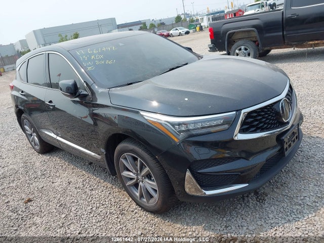 2019 5J8TC2H76KL801861 main image