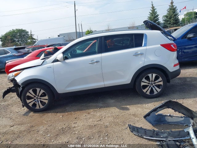 Продаж на аукціоні авто 2013 Kia Sportage Ex, vin: KNDPCCA23D7406245, номер лоту: 12661556