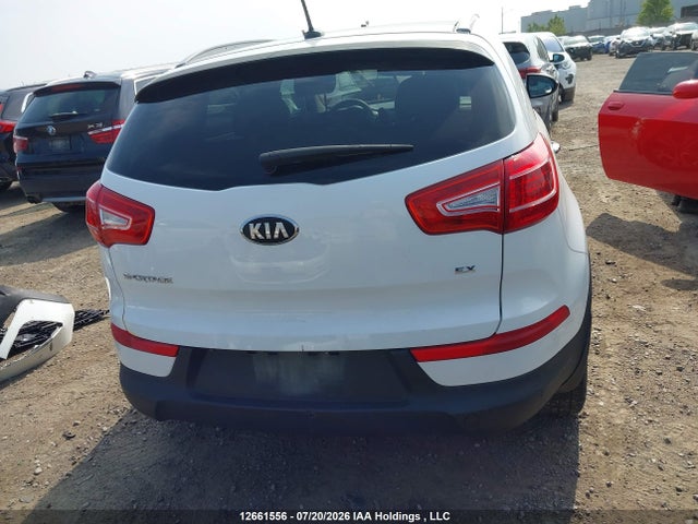 Продаж на аукціоні авто 2013 Kia Sportage Ex, vin: KNDPCCA23D7406245, номер лоту: 12661556