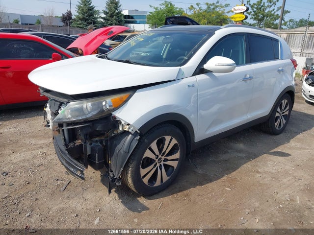 Продаж на аукціоні авто 2013 Kia Sportage Ex, vin: KNDPCCA23D7406245, номер лоту: 12661556