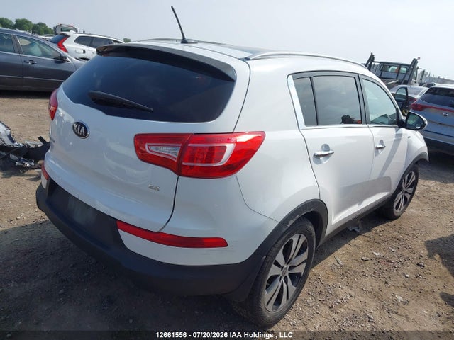 Продаж на аукціоні авто 2013 Kia Sportage Ex, vin: KNDPCCA23D7406245, номер лоту: 12661556