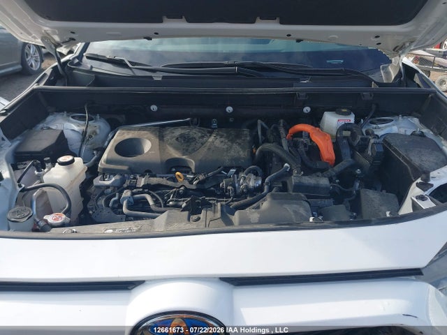 2T3RWRFV4PW159879 Toyota Rav4 Xle/woodland Edition
