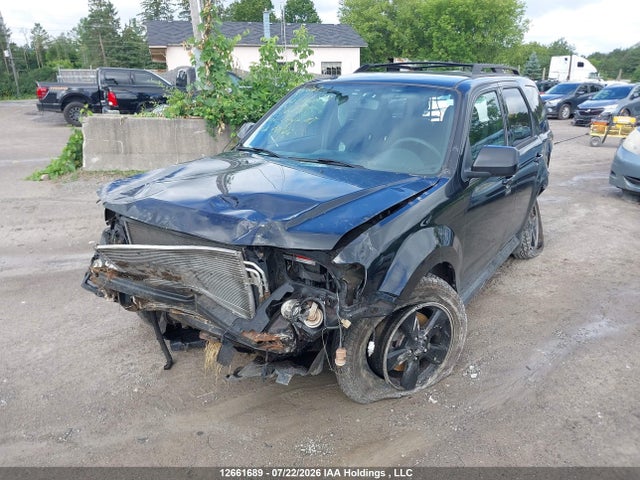 2010 Ford Escape Xlt მანქანა იყიდება აუქციონზე, vin: 1FMCU9DG0AKB86721, აუქციონის ნომერი: 12661689