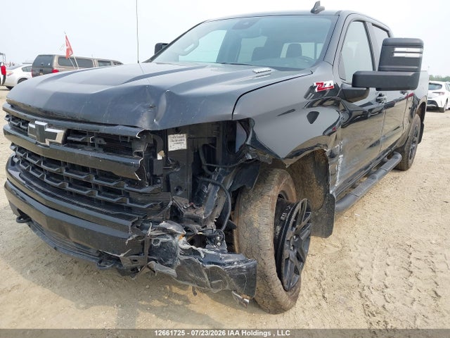 Продаж на аукціоні авто 2024 Chevrolet Silverado 1500 Rst, vin: 1GCUDEE80RZ374831, номер лоту: 12661725
