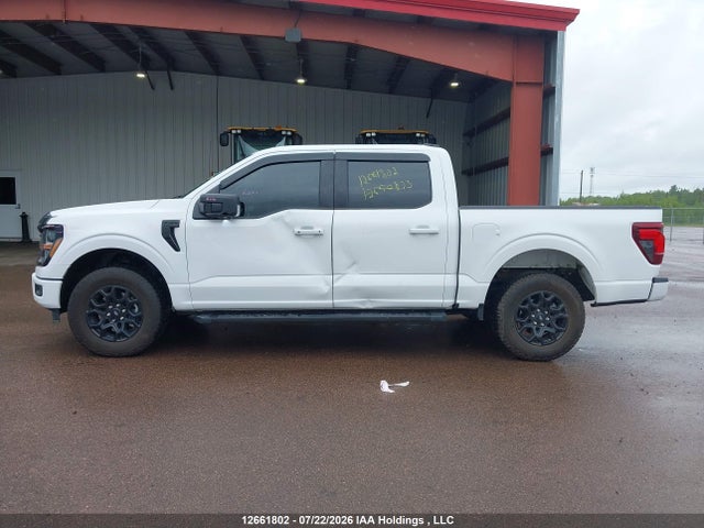 1FTEW3LP8SKF00204 Ford F-150 Xlt