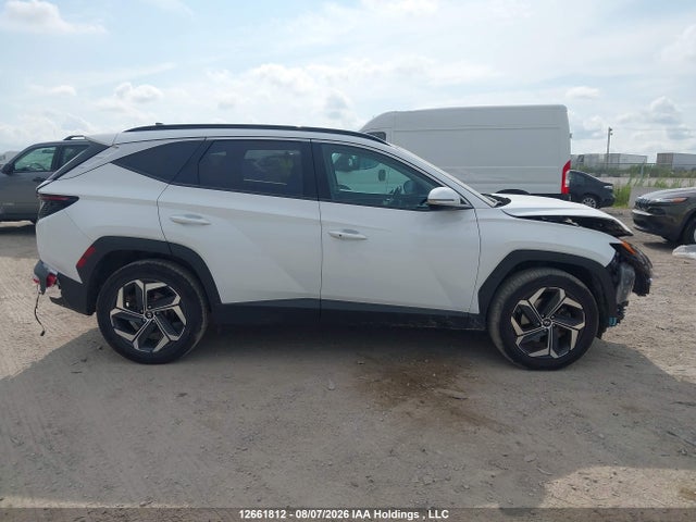 Hyundai Tucson Luxury Awd 2024 KM8JCCD18RU144476 Image 13