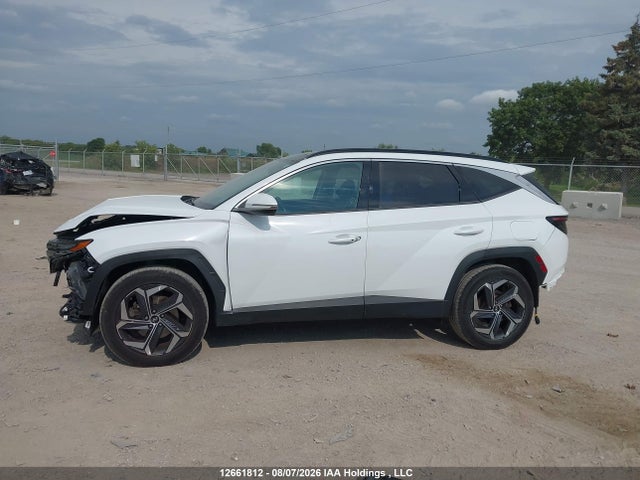 Hyundai Tucson Luxury Awd 2024 KM8JCCD18RU144476 Image 14