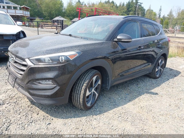 KM8J3CA25GU059492 Hyundai Tucson Limited/sport And Eco/se