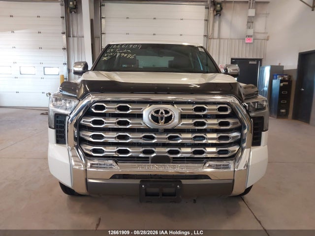 Продажа на аукционе авто 2024 Toyota Tundra Platinum 4x4, vin: 5TFMA5DB7RX179486, номер лота: 12661909