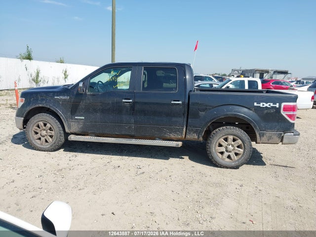 12643887 :رقم المزاد ، 1FTFW1ET5EFB04621 vin ، 2014 Ford F-150 Fx4/king Ranch/lariat/limited/platinum/xlt مزاد بيع