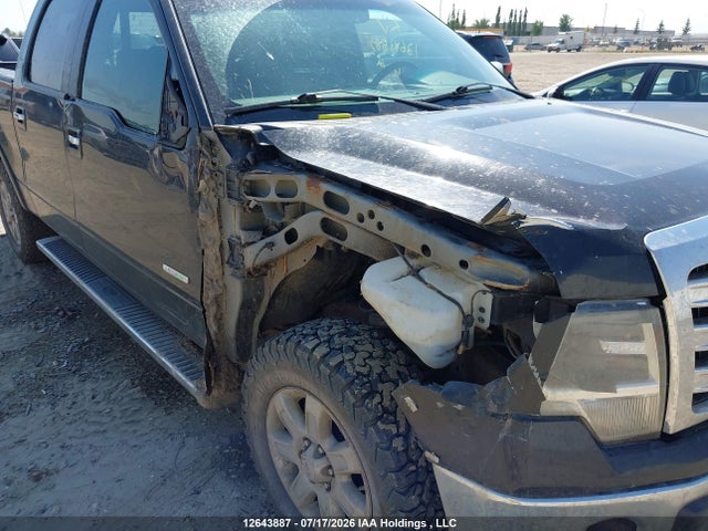12643887 :رقم المزاد ، 1FTFW1ET5EFB04621 vin ، 2014 Ford F-150 Fx4/king Ranch/lariat/limited/platinum/xlt مزاد بيع