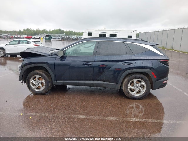 2024 Hyundai Tucson მანქანა იყიდება აუქციონზე, vin: KM8JCCDEXRU307373, აუქციონის ნომერი: 12662089