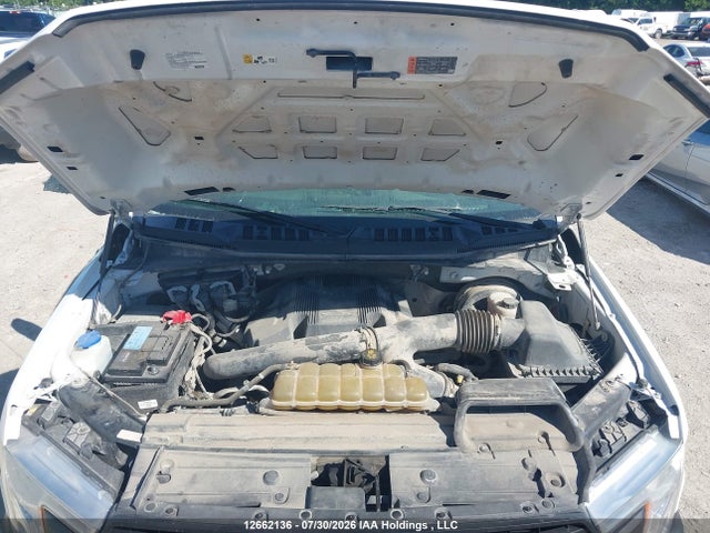 12662136 :رقم المزاد ، 1FTFX1C4XLKE29276 vin ، 2020 Ford F-150 مزاد بيع