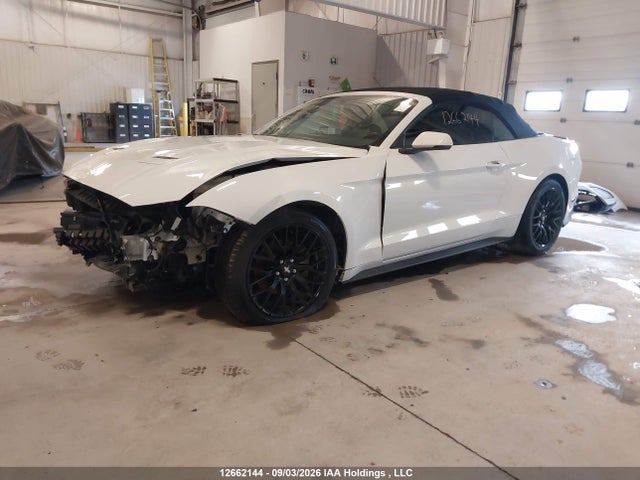 Ford Mustang Ecoboost Premium 2020 1FATP8UH5L5160640 Image 2