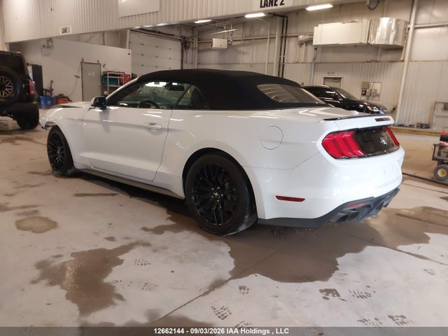 Ford Mustang Ecoboost Premium 2020 1FATP8UH5L5160640 Image 3