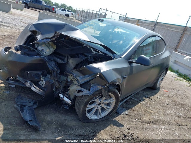 Продажа на аукционе авто 2021 Tesla Model Y Long Range, vin: 5YJYGDEE5MF301090, номер лота: 12662161