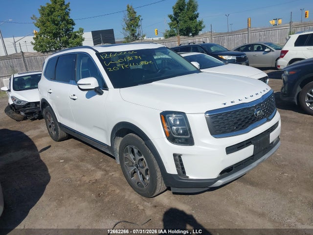 Продажа на аукционе авто 2020 Kia Telluride Ex, vin: 5XYP3DHCXLG013834, номер лота: 12662266
