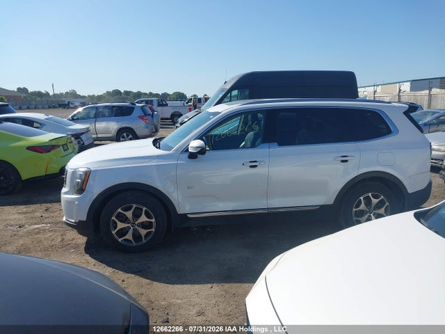 Продажа на аукционе авто 2020 Kia Telluride Ex, vin: 5XYP3DHCXLG013834, номер лота: 12662266