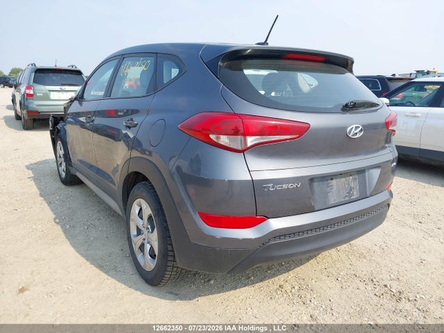 Hyundai Tucson 2017 KM8J2CA48HU429890 Image 3