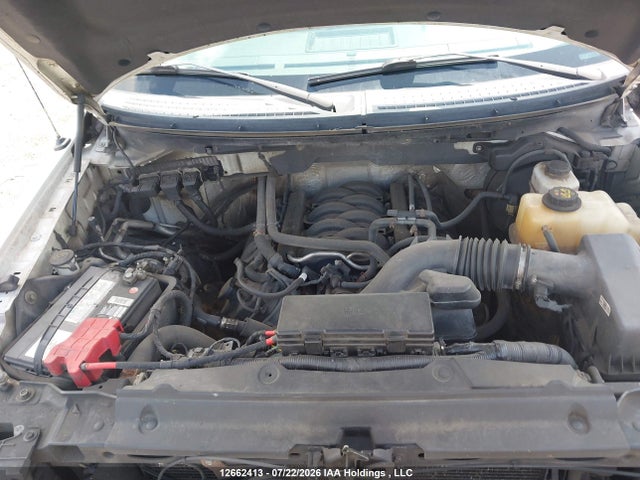 2013 Ford F150 მანქანა იყიდება აუქციონზე, vin: 1FTMF1EF5DKF01513, აუქციონის ნომერი: 12662413