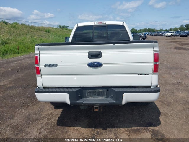 2013 Ford F150 მანქანა იყიდება აუქციონზე, vin: 1FTMF1EF5DKF01513, აუქციონის ნომერი: 12662413