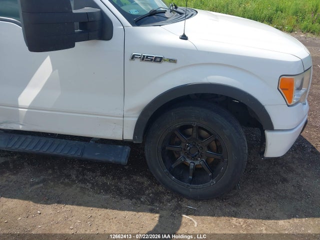 2013 Ford F150 მანქანა იყიდება აუქციონზე, vin: 1FTMF1EF5DKF01513, აუქციონის ნომერი: 12662413
