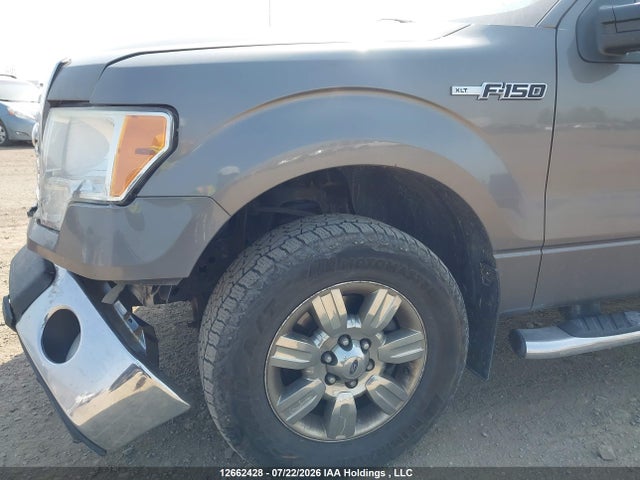 2011 Ford F-150 Xlt მანქანა იყიდება აუქციონზე, vin: 1FTFW1EF9BFC00726, აუქციონის ნომერი: 12662428