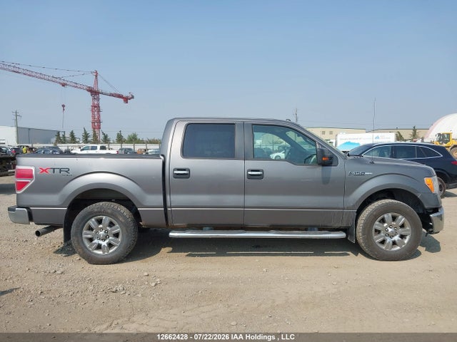 2011 Ford F-150 Xlt მანქანა იყიდება აუქციონზე, vin: 1FTFW1EF9BFC00726, აუქციონის ნომერი: 12662428