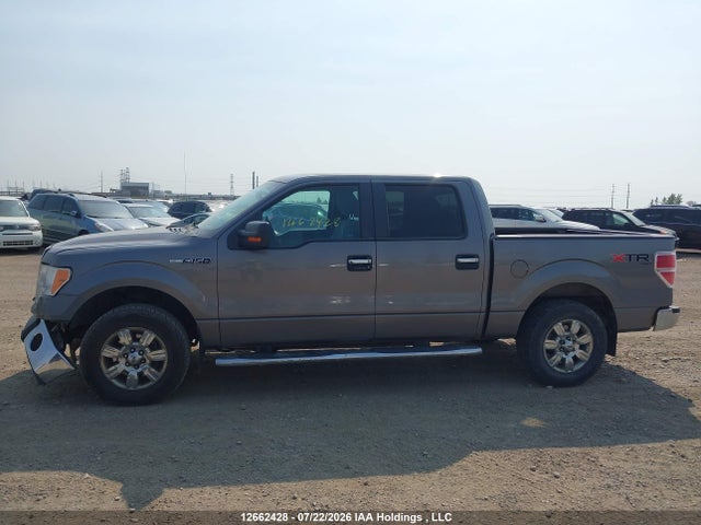 2011 Ford F-150 Xlt მანქანა იყიდება აუქციონზე, vin: 1FTFW1EF9BFC00726, აუქციონის ნომერი: 12662428