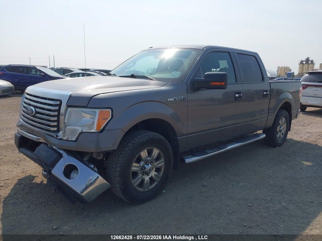 2011 Ford F-150 Xlt მანქანა იყიდება აუქციონზე, vin: 1FTFW1EF9BFC00726, აუქციონის ნომერი: 12662428