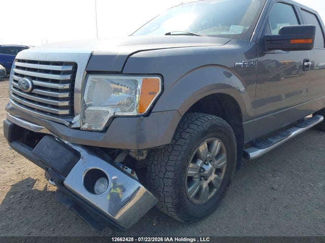 2011 Ford F-150 Xlt მანქანა იყიდება აუქციონზე, vin: 1FTFW1EF9BFC00726, აუქციონის ნომერი: 12662428