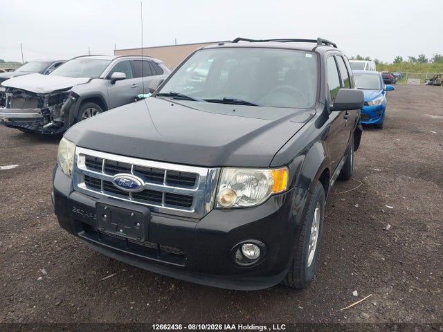12662436 :رقم المزاد ، 1FMCU0D74BKB05037 vin ، 2011 Ford Escape Xlt Automatic مزاد بيع
