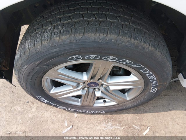 2019 Ford F150 Super Cab მანქანა იყიდება აუქციონზე, vin: 1FTFX1E49KKD53383, აუქციონის ნომერი: 12662596