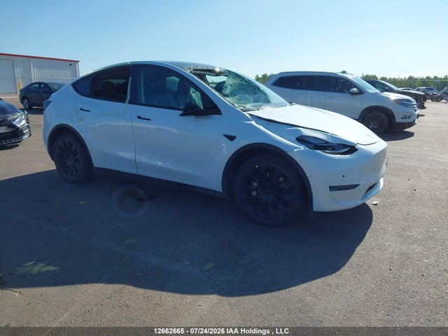12662665 :رقم المزاد ، 5YJYGDEE8MF278646 vin ، 2021 Tesla Model Y Long Range مزاد بيع