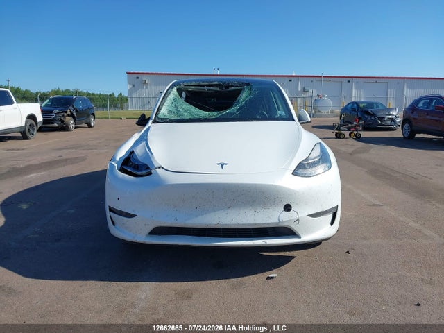 12662665 :رقم المزاد ، 5YJYGDEE8MF278646 vin ، 2021 Tesla Model Y Long Range مزاد بيع