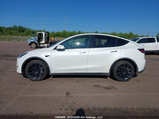 12662665 :رقم المزاد ، 5YJYGDEE8MF278646 vin ، 2021 Tesla Model Y Long Range مزاد بيع