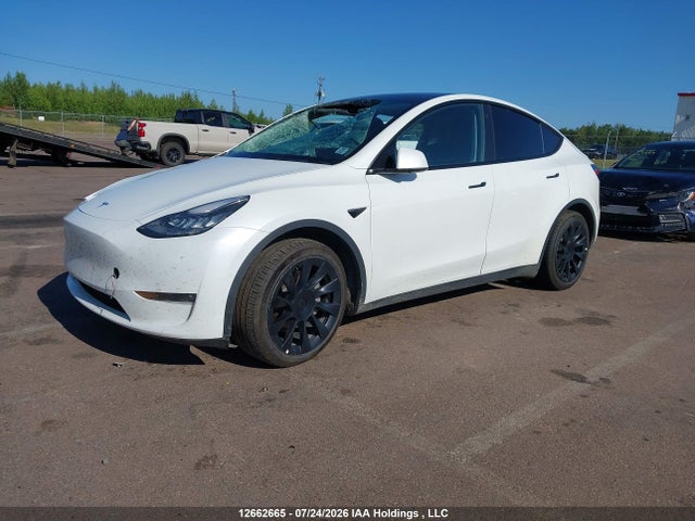 Auction sale of the 2021 Tesla Model Y Long Range, vin: 5YJYGDEE8MF278646, lot number: 12662665