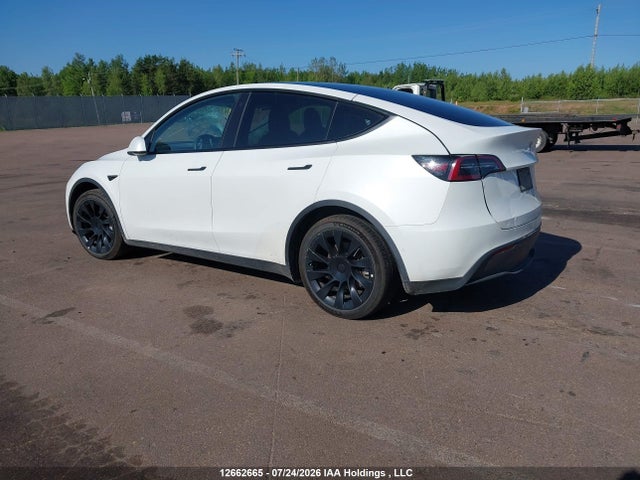 12662665 :رقم المزاد ، 5YJYGDEE8MF278646 vin ، 2021 Tesla Model Y Long Range مزاد بيع