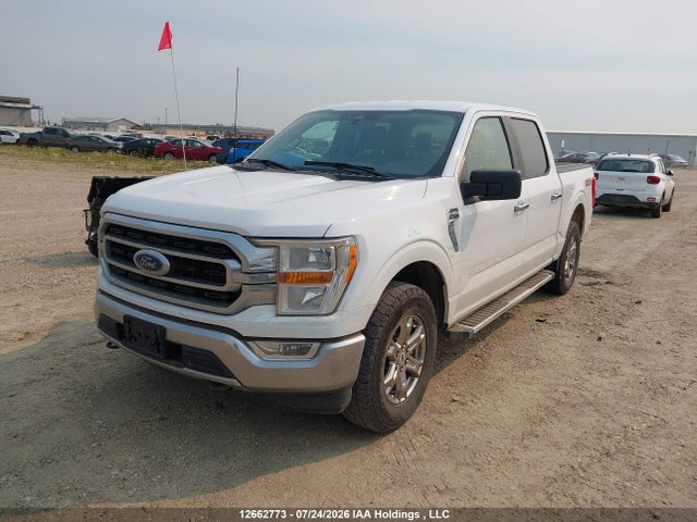 2023 Ford F150 Supercrew მანქანა იყიდება აუქციონზე, vin: 1FTEW1EP9PKF07073, აუქციონის ნომერი: 12662773
