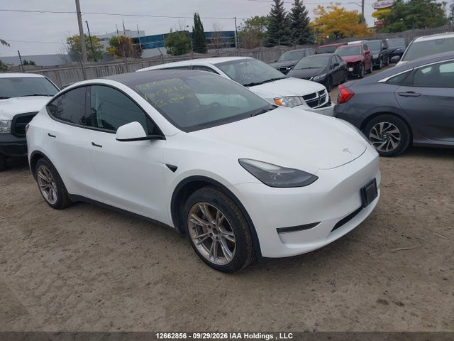 Aukcja sprzedaży 2023 Tesla Model Y Long Range, vin: LRWYGDEE4PC081729, numer aukcji: 12662856