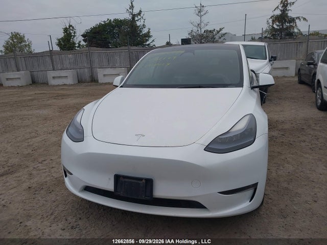 Aukcja sprzedaży 2023 Tesla Model Y Long Range, vin: LRWYGDEE4PC081729, numer aukcji: 12662856