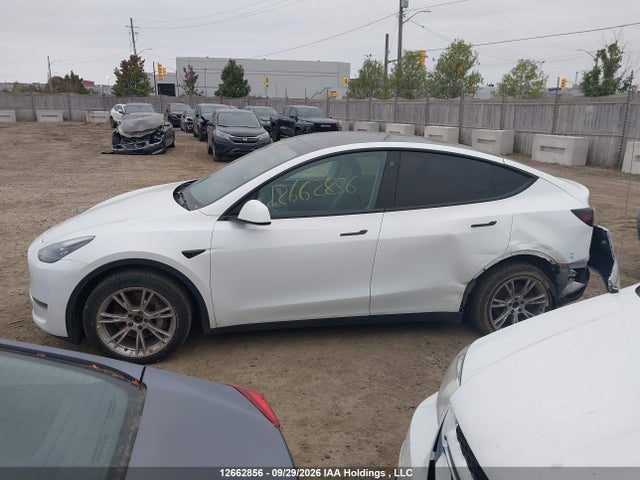 Aukcja sprzedaży 2023 Tesla Model Y Long Range, vin: LRWYGDEE4PC081729, numer aukcji: 12662856