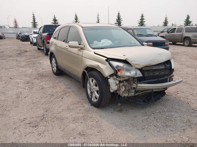 2009 Honda Cr-v Exl მანქანა იყიდება აუქციონზე, vin: 5J6RE48729L808941, აუქციონის ნომერი: 12662880