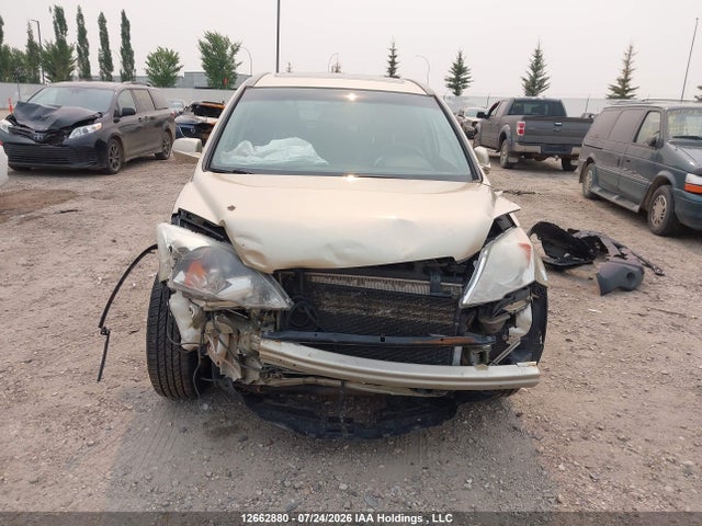 Продаж на аукціоні авто 2009 Honda Cr-v Exl, vin: 5J6RE48729L808941, номер лоту: 12662880