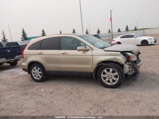 Продаж на аукціоні авто 2009 Honda Cr-v Exl, vin: 5J6RE48729L808941, номер лоту: 12662880