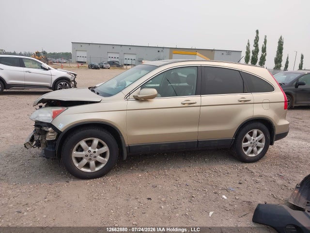 Продаж на аукціоні авто 2009 Honda Cr-v Exl, vin: 5J6RE48729L808941, номер лоту: 12662880