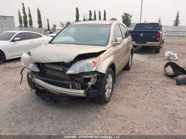 Продаж на аукціоні авто 2009 Honda Cr-v Exl, vin: 5J6RE48729L808941, номер лоту: 12662880