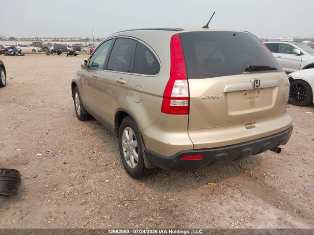 Продаж на аукціоні авто 2009 Honda Cr-v Exl, vin: 5J6RE48729L808941, номер лоту: 12662880
