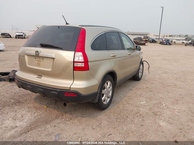 Продаж на аукціоні авто 2009 Honda Cr-v Exl, vin: 5J6RE48729L808941, номер лоту: 12662880